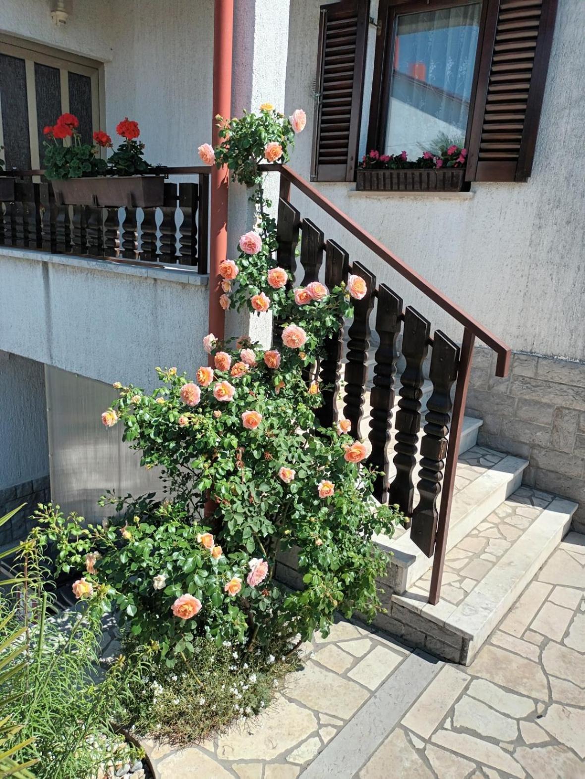 Apartments Peric Opatija Buitenkant foto